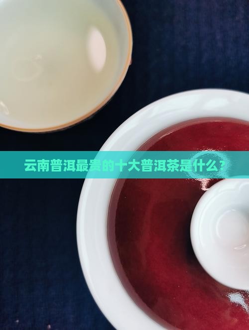 云南普洱最贵的是什么茶