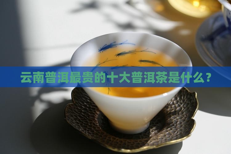 云南普洱最贵的是什么茶