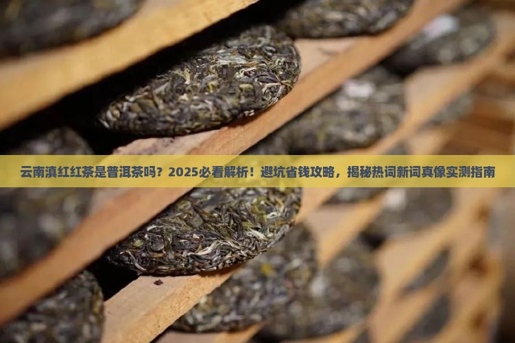 云南滇红红茶是普洱茶