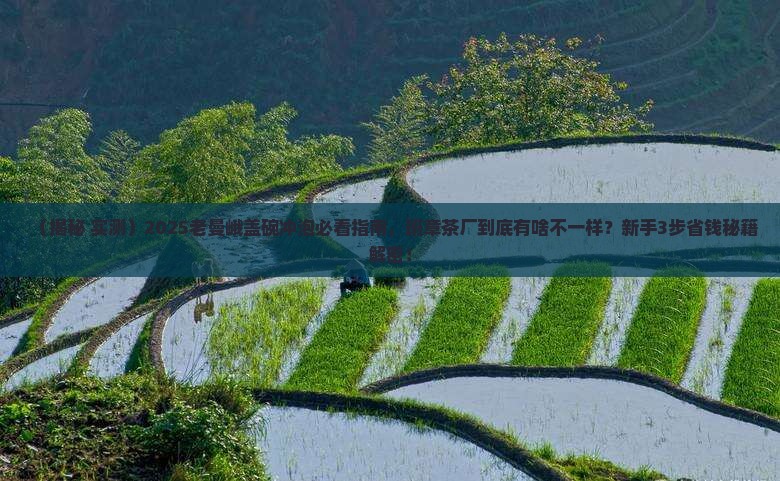 老曼峨勐海县班章茶厂盖碗