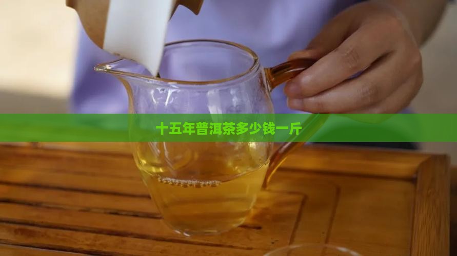 十五年普洱茶多少钱一斤