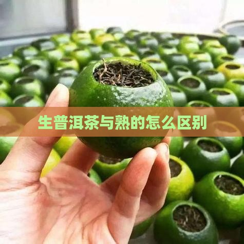 生普洱茶与熟的怎么区别