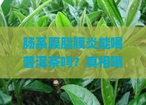 肠系膜脂膜炎能喝普洱茶吗