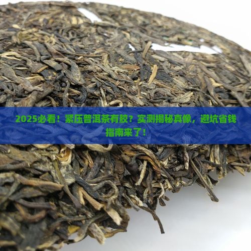 紧压普洱茶有胶吗