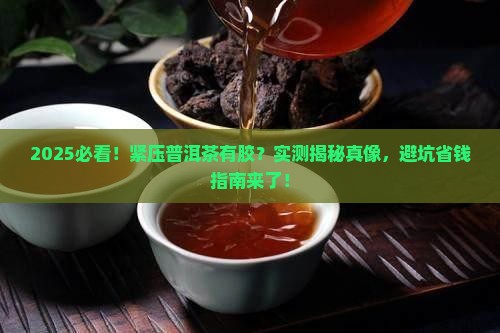 紧压普洱茶有胶吗