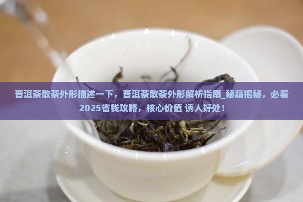 普洱茶散茶外形描述一下