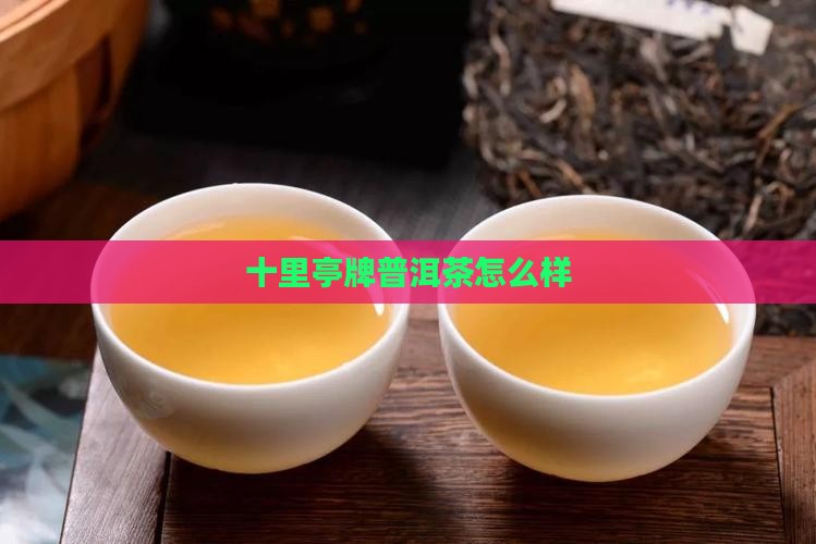 十里亭牌普洱茶怎么样