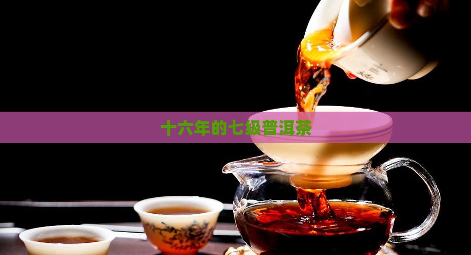十六年的七级普洱茶