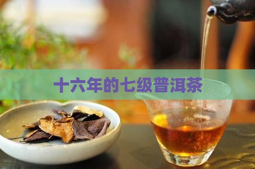 十六年的七级普洱茶