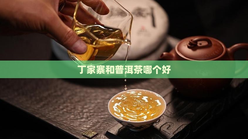 丁家寨和普洱茶哪个好