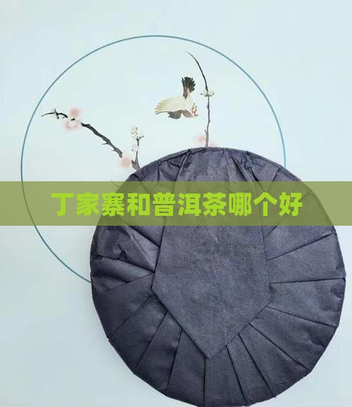 丁家寨和普洱茶哪个好