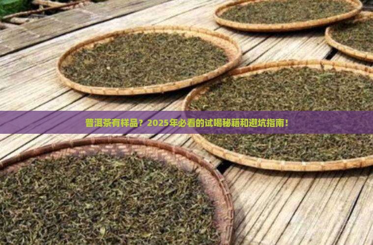 普洱茶有样品吗