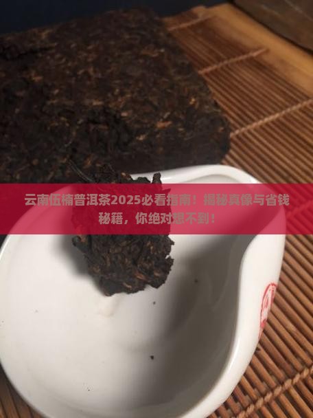 云南伍楠普洱茶