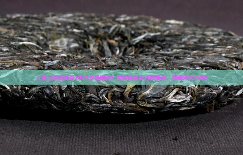 云南伍楠普洱茶