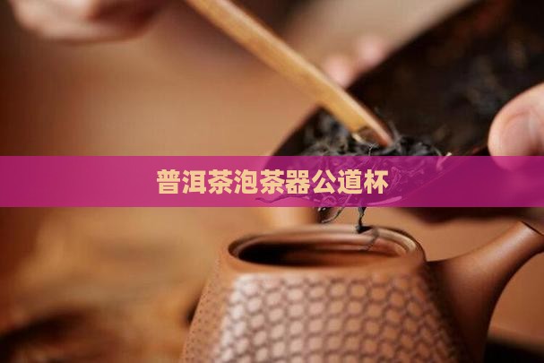 普洱茶泡茶器公道杯