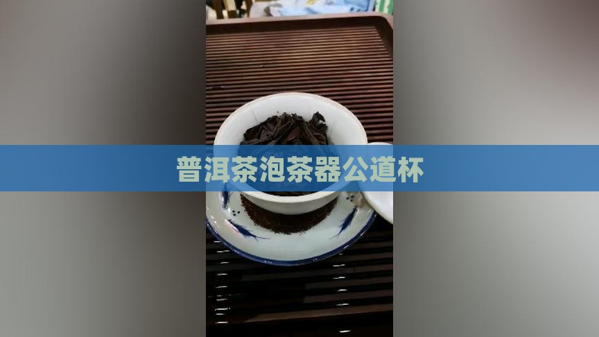 普洱茶泡茶器公道杯