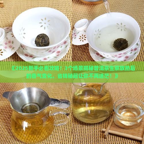 普洱茶生茶放熟的香气