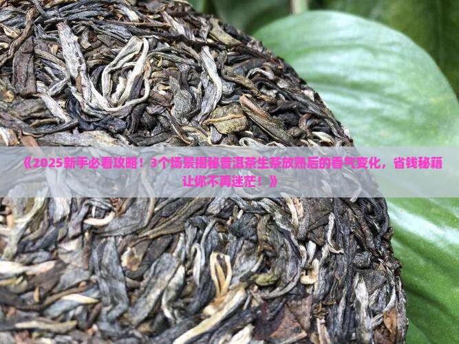 普洱茶生茶放熟的香气