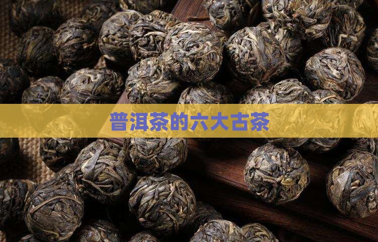 普洱茶的六大古茶