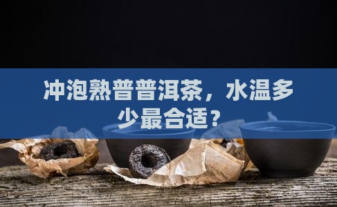 泡熟普洱水温几十度