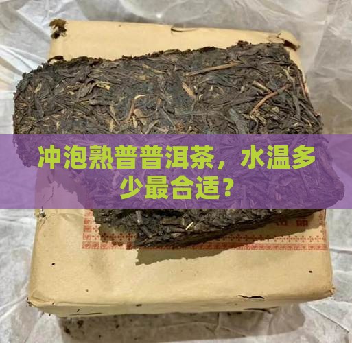 泡熟普洱水温几十度