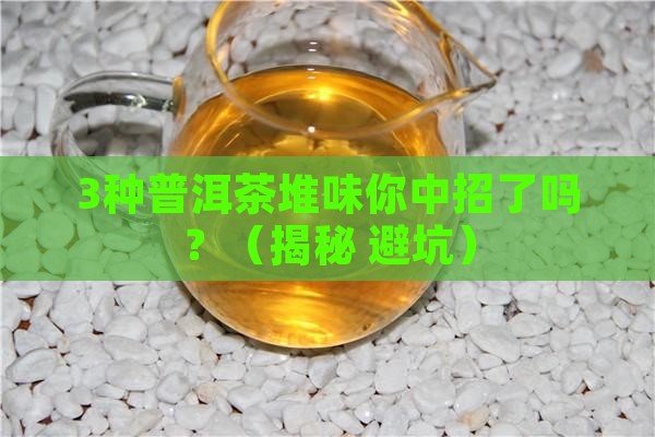 普洱茶有几种堆味