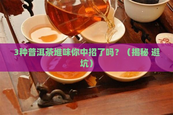 普洱茶有几种堆味