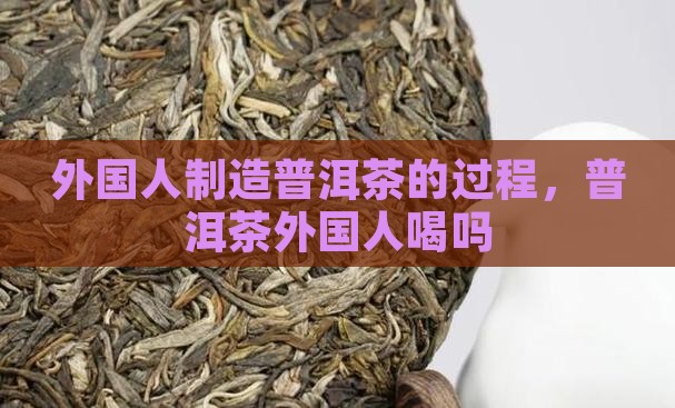 外国人制造普洱茶