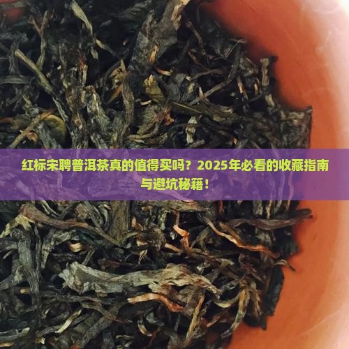 红标宋聘普洱茶的赞美