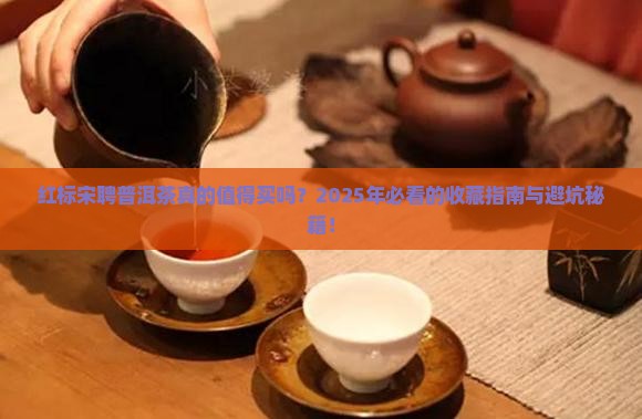 红标宋聘普洱茶的赞美