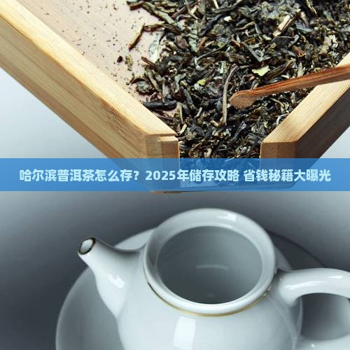 哈尔滨储存普洱茶价格多少