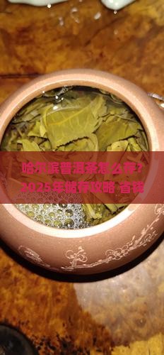 哈尔滨储存普洱茶价格多少