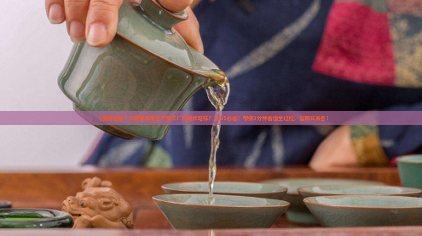 云南普洱茶生产线工厂