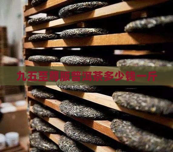 九五至尊版普洱茶多少钱一斤