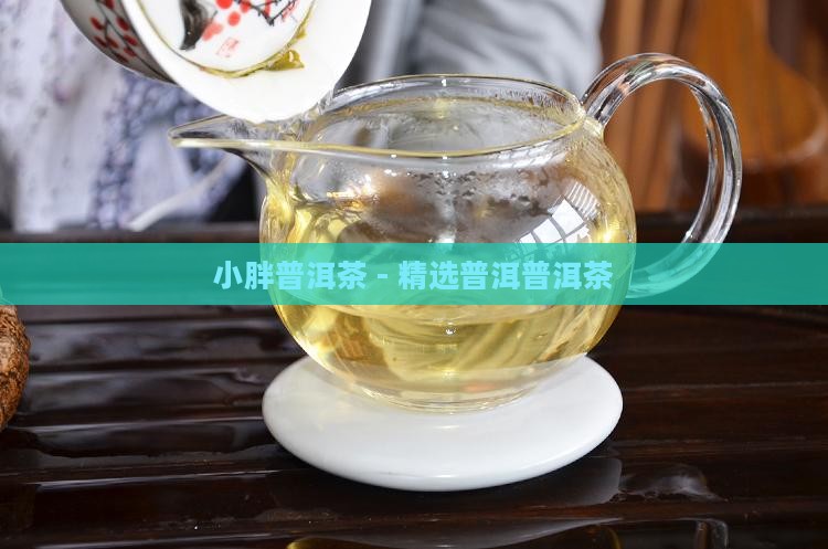 临沧小胖普洱茶