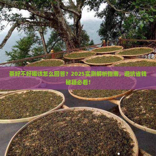 茶好不好喝该怎么回答