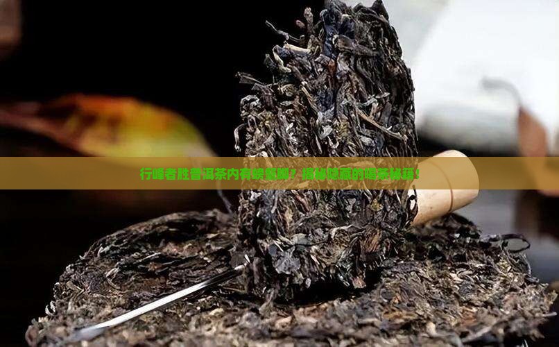 行峰者胜普洱茶内有螃蟹脚