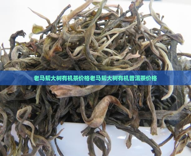 老马帮大树有机茶价格