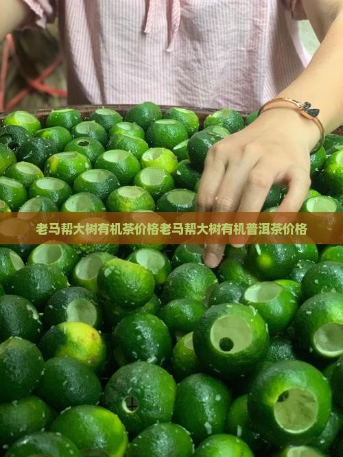 老马帮大树有机茶价格