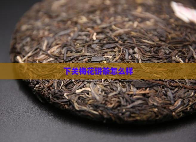 下关梅花饼茶怎么样