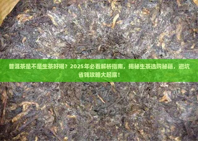 普洱茶是不是生茶好喝