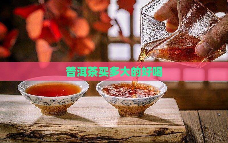 普洱茶买多大的好喝