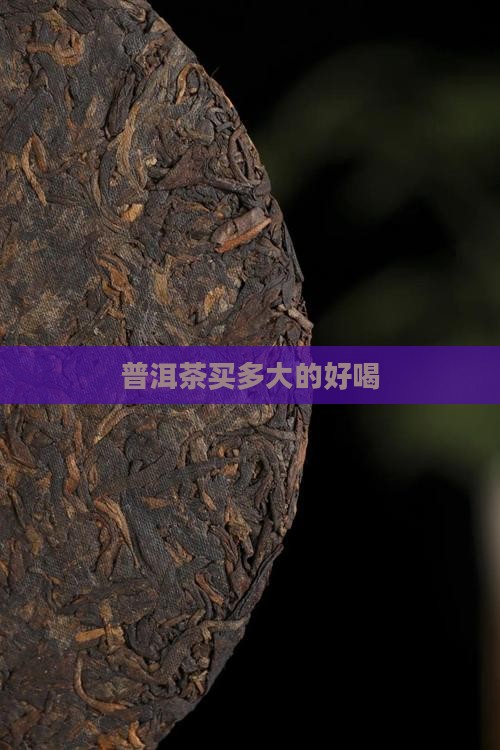 普洱茶买多大的好喝