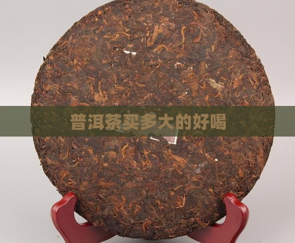 普洱茶买多大的好喝