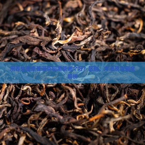 用养生壶煮普洱茶和黑茶