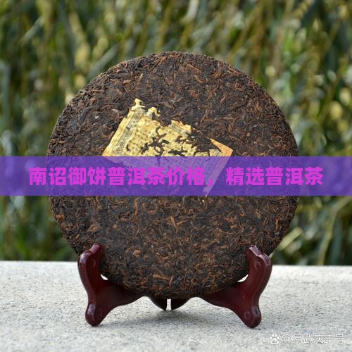 南邵御饼普洱茶