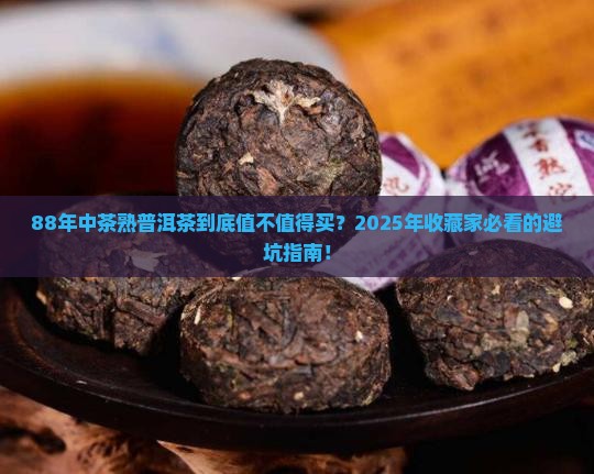 88年中茶熟普洱茶