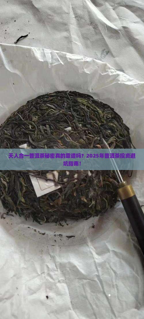 天人合一普洱茶秘密