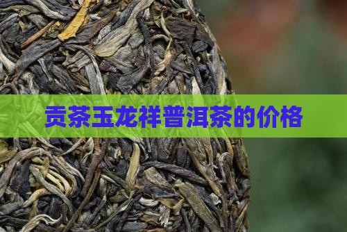 贡茶玉龙祥普洱茶的价格