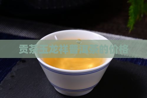 贡茶玉龙祥普洱茶的价格